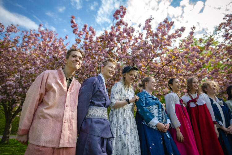 Elever i japansk beklædning under lyserøde kirsebærtræer