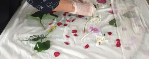 plantefarvning af hvid dug